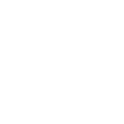 experta